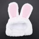 thumbnail image 5 of Gorro de conejito para gato CHAO disfraz de fiesta para mascotas, 5 of 5
