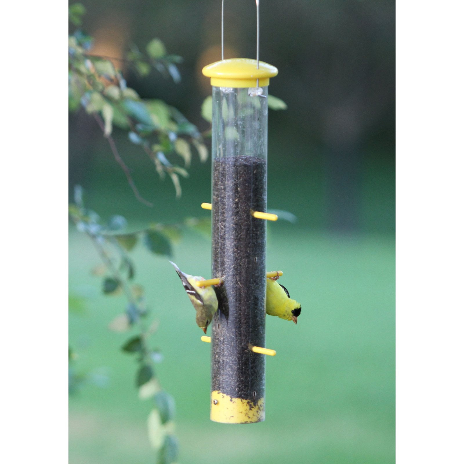 6 Feeding Stations New Upside Down Goldfinch Feeder Bird