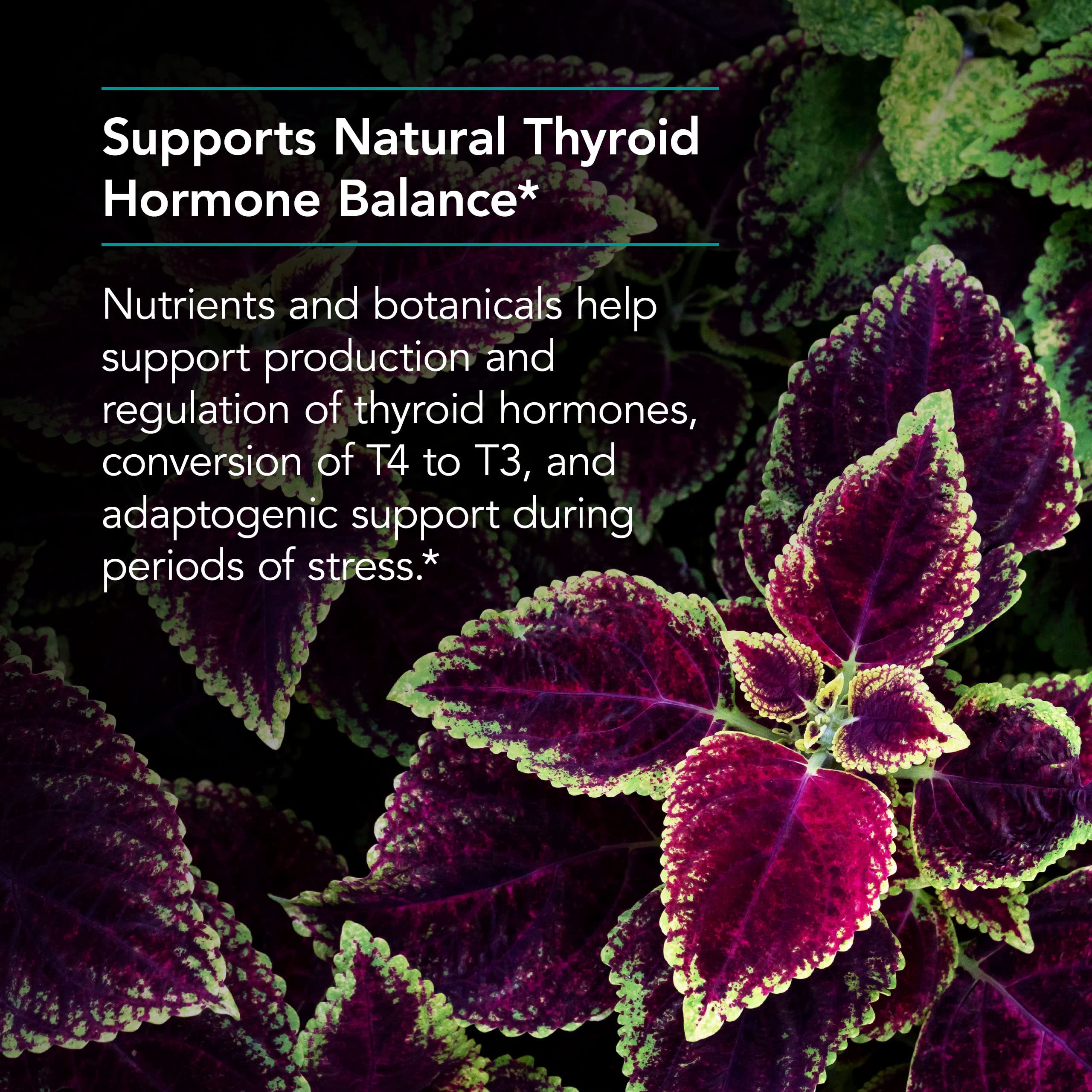 Nutricology Thyroid Nutrition with Iodoral - Thyroid Support for Men & Women, Thyroid Complex Supplement, Thyroid Health, Iodine - 60 Count