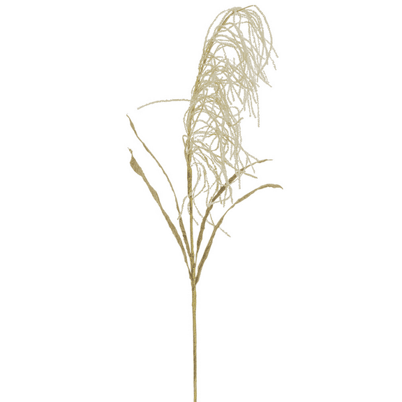 Park Place - 12 piece Reed Grass Bloom Stem 36" Ivory