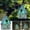 C, variant on YingYouFu Bird Houses for Outside Cottage Garden Birdhouse,Green Resin Birdhouses for Outdoors with Flower and Stone Details for Bluebird Cardinals Bird Nesting Garden,Yard,Kids Nature Lover