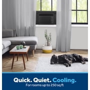 GE 6,000 BTU Window Air Conditioner for Rooms up to 250 Sq. Ft., Black