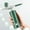 Green, variant on Kiplyki New Arrivals Oxygen Facial Portable Airbrush, Skin Facial Portable Makeup Airbrush Serum Toner Mist Sprayer Facial Misters Device