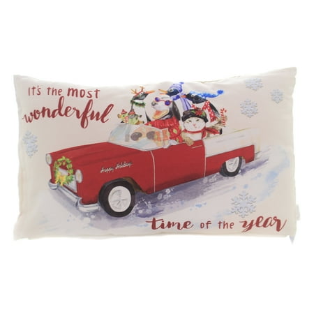 Christmas WONDERFUL TIME OF YEAR PILLOW Car Dog Cat Penguin Home Decor