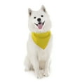 thumbnail image 1 of Balec Dog Solid Cotton Bandanas - 5 Pieces - Scarf Triangle Bibs for Any Small,, 1 of 2