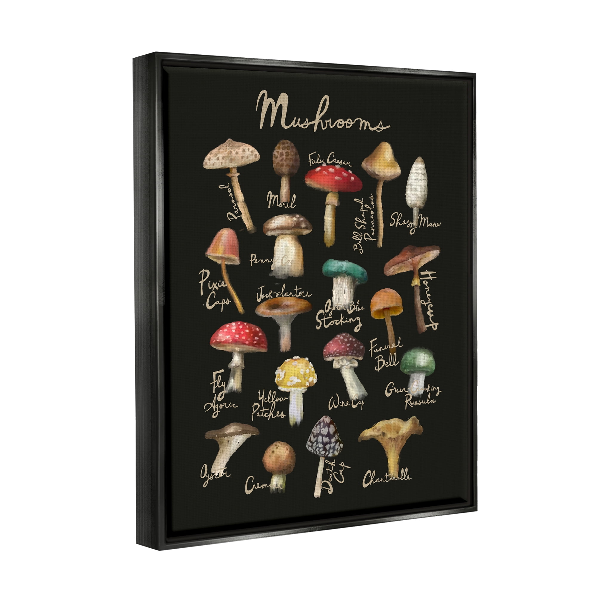 Stupell Industries Varied Mushrooms Kitchen Chart Landscape Painting Black Floater Framed Art Print Wall Art