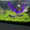 thumbnail image 3 of OUNONA 1Pc Plastic Fish Tank Plants Artificial Aquarium Plants Reproduce Natural Environment for Aquariums Purple, 3 of 6
