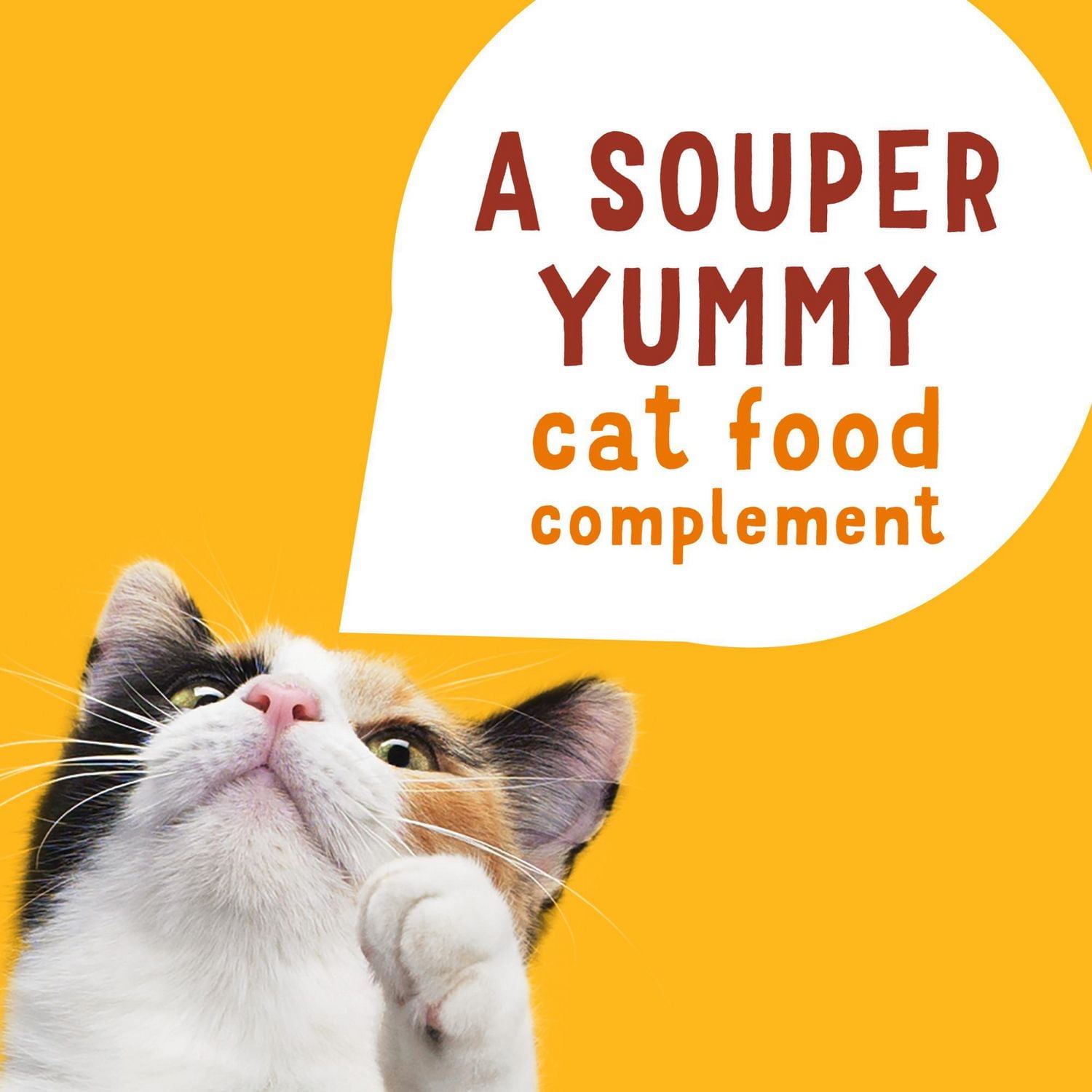 Friskies Lil' Soups avec Poulet et Courge Musquée dans un Bouillon Velouté Complément pour Chats 34 g