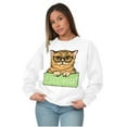 thumbnail image 4 of Cat with Classes Cute Kitty Free Hugs Women Plus Size Crewneck Sweatshirt Brisco Brands 2X, 4 of 5