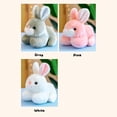 thumbnail image 5 of Pink Rabbit Bunny Stuffed Animal Plush Toys, 6'' Kawaii Rabbit Plushies for Girls and Boys, Soft and Huggable Bunny Stuffy Stuffed Animals for Boys Girls Easter Party Favors, Birthday Gifts, 5 of 16