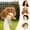 Gold, variant on Porch Goose Apparel Set 4 Pack Porch Goose Curly & Wavy Hair Cute Hair Wig Outfits Garden Goose Statue Accessories Decoration for Outdoor Patio Yard Goose Displays