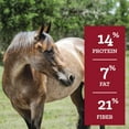 Nutrena SafeChoice Special Care Low Starch Horse Feed, 50 lb.