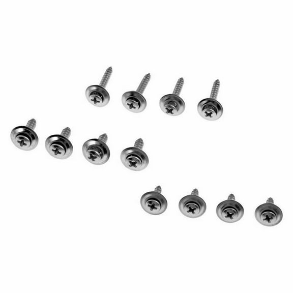 KarParts360 Trim Screw Assortment | Steel | Chrome | Screw Type | #8 By 5/8 and #8 By 1, #10 By 3/4 Inches Fastener Hole