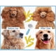 thumbnail image 5 of Pet Grooming Brush with One-Touch Hair Removal for Cats and Dogs, Suitable for Most Pets, 5 of 5