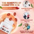 thumbnail image 4 of OMOGS CoQ10 400mg Softgels, Support Heart Health, Cardiovascular Health, 90 Softgels, 4 of 7