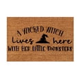 thumbnail image 1 of ILJNDTGBE Mat Holiday Mat Welcome Door Mat Polyester Door Mat 8x10 Plush Area Rug under Bed Rugs for Area Rugs Living Room, 1 of 8