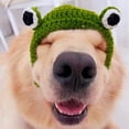 thumbnail image 5 of Pet Hat Hand-Knitted Cute 3D Frog Eye Decor Cat Hat Comfortable Warm Dog Headgear for Autumn Winter -Green,M, 5 of 8