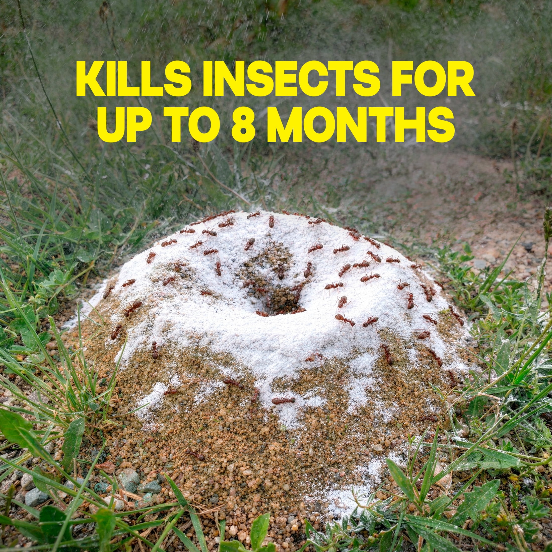 Raid Outdoor Fire Ant Mound Killer, Dust Insecticide for Outside Household Use on Ants, Fire Ants and Termites, Lasts 1 Year, Kills the Queen, Works Fast and Easy-To-Use, 24 oz