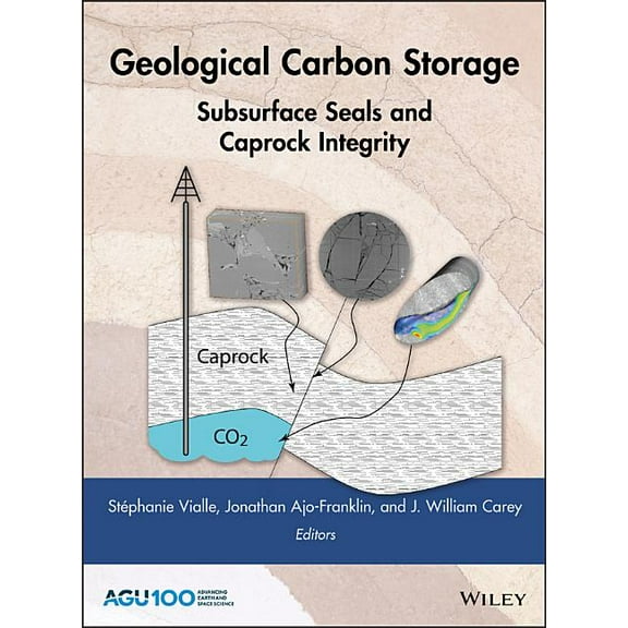 Geophysical Monograph Geological Carbon Storage: Subsurface Seals and Caprock Integrity, Book 238, (Hardcover)