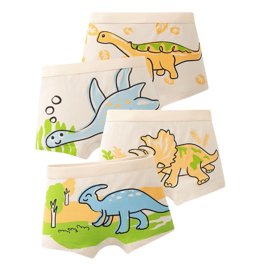 Fruit Of The Loom Lot De 5 Slips Pour Garçons - Coton Confortable