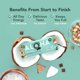 thumbnail image 4 of Organic Plant Based Protein Bars |Peanut Butter Chocolate Chip | 1.98 Oz (Pack of 12) | Vegan, Low Sugar, Gluten Free, Paleo, Low Carb, Non-GMO, Stevia Free, Soy Free, No Sugar Alcohols, 4 of 5