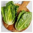 thumbnail image 4 of Lechuga Hidropónica EVA sweet crunchy 2 piezas, 4 of 4