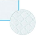 thumbnail image 4 of Super absorbent waterproof pet training urine pad, small 17.1 × 23.6 inches 50 pieces, dog puppy training toilet leak-proof blue, 4 of 4