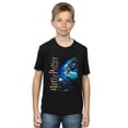 thumbnail image 2 of Harry Potter Boys Smiles At Hogwarts T-Shirt, 2 of 3