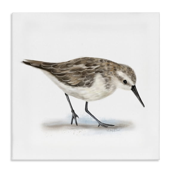 Stupell Industries Traditional Charming Sandpiper on Soft Sand Brown Nautical Bird Canvas Art, 17 x 17, by Studio Q