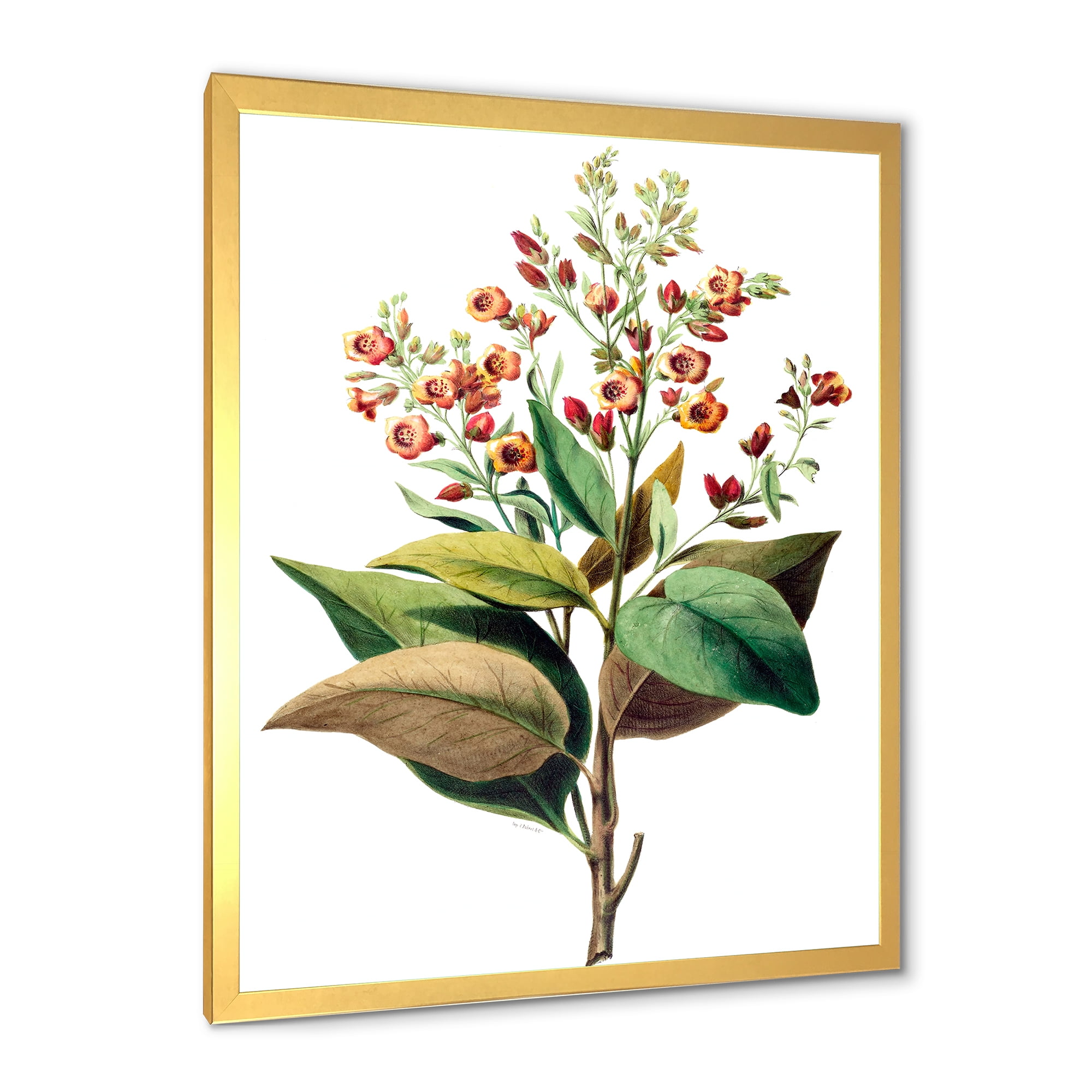Designart 'American Vintage Flowers II' Traditional Framed Art Print