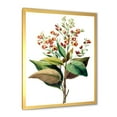 thumbnail image 2 of Designart 'American Vintage Flowers II' Traditional Framed Art Print, 2 of 4