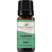 Plant Therapy Cypress Essential Oil 100% Pure, Undiluted, Natural Aromatherapy, Therapeutic Grade 10 mL (1/3 oz)