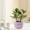 Pink, variant on YIMWNYI Cream Pumpkin Cactus Planter, Ceramic Flower Vase, Breathable Vertical Planter, Artisanal Gardening Pot, Succulent and Cacti Holder, Stylish Decor Container