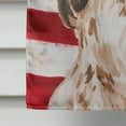 thumbnail image 4 of Brown Parti Patriotic House Flag, 4 of 4