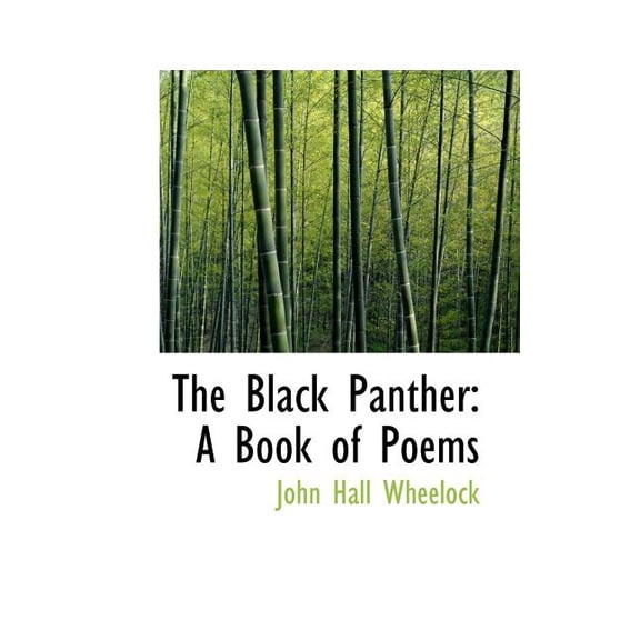 The Black Panther: A Book of Poems (Paperback)