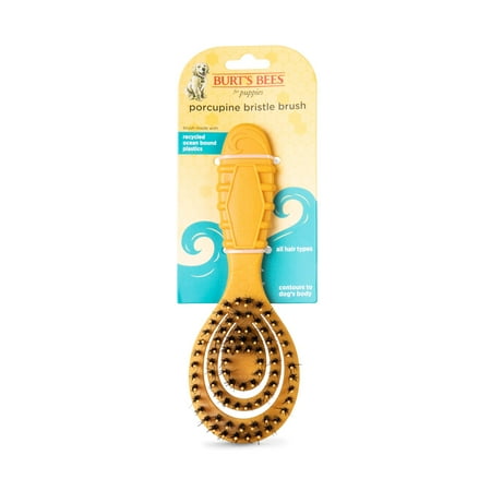Burt's Bees For Pets Porcupine Bristle Brush for Puppies and Small Dog Flex-Head Grooming Brush