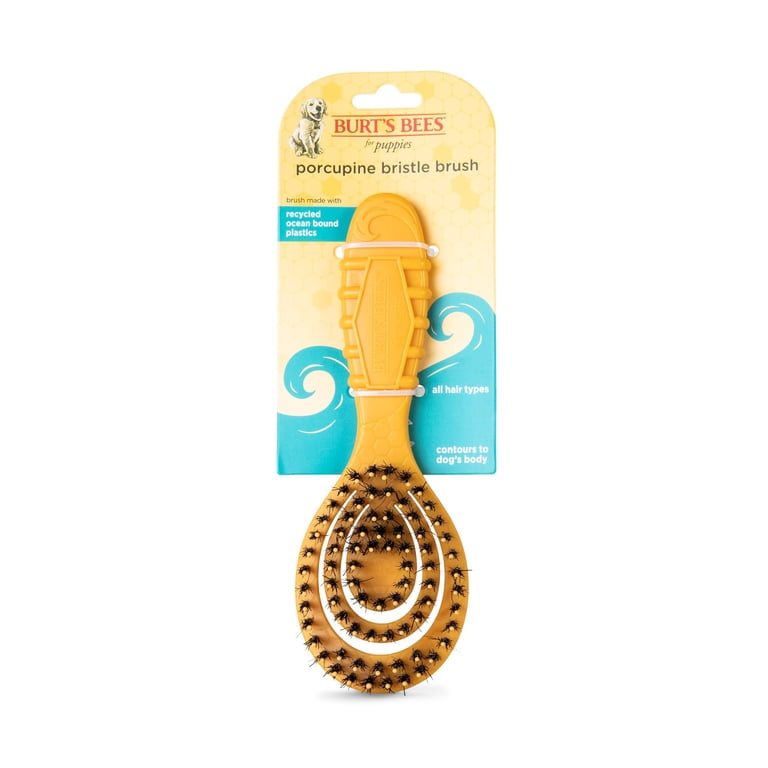 Burt's Bees For Pets Porcupine Bristle Brush, Puppies & Small Dogs photo 1