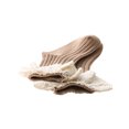 thumbnail image 3 of xiaxaixu Toddler Ribbed Sock Pair, Lacing Hem Elastic Cuff Middle Stockings, 3 of 7