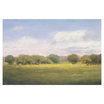 Masterpiece Art Gallery The Land At Peace Summertime Meadow By Teri Jonas Canvas Art Print 24" x 36"