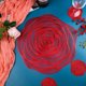 thumbnail image 4 of 6 Manteles Individuales y Posavasos Rojos de Vinilo Prensado,Manteles Individuales Redondos Rosas 15 Pulg, 4 of 7