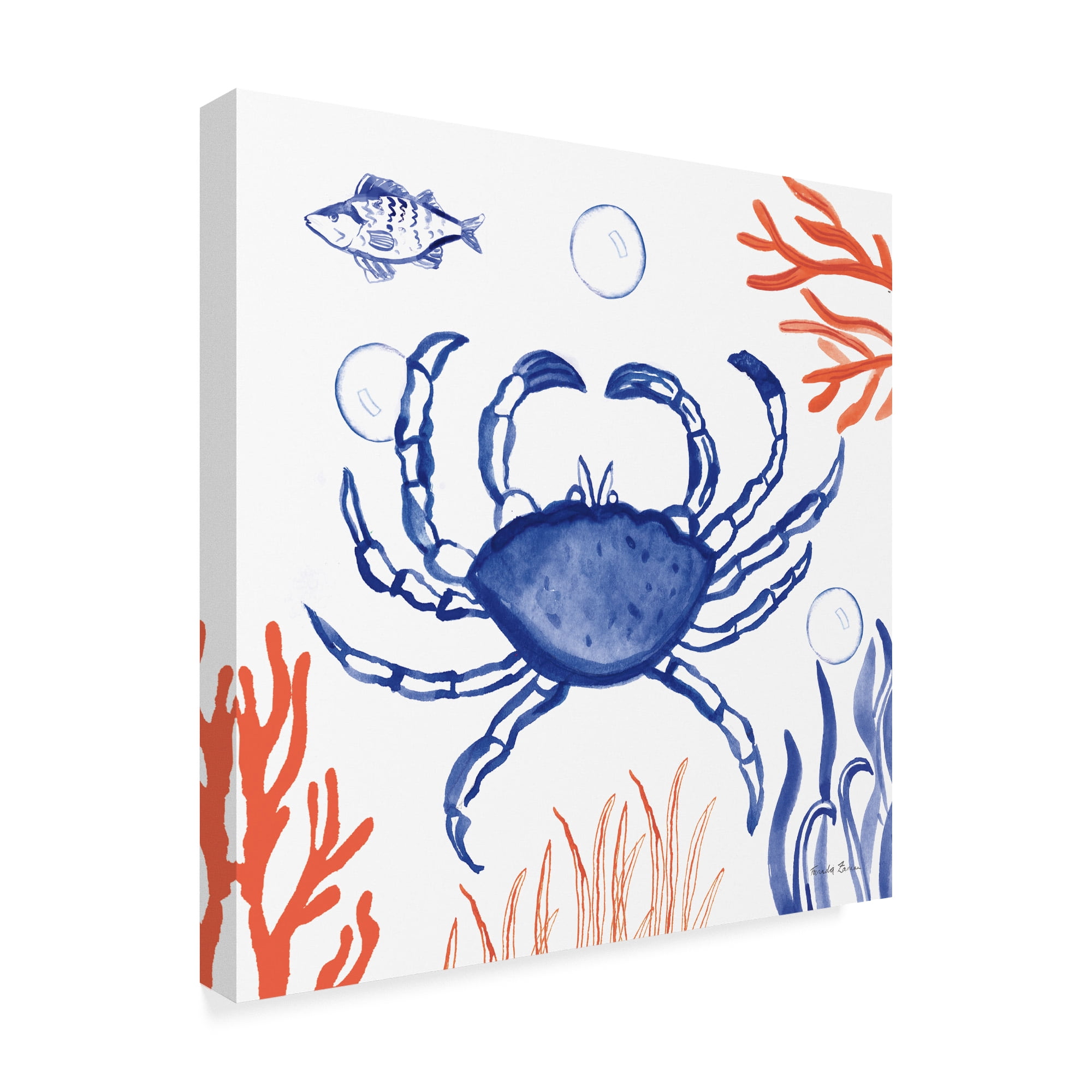 Trademark Fine Art 'Coastal Jewels V' Canvas Art by Farida Zaman