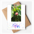 thumbnail image 1 of Withered Lotus Pond Art Deco Fashion Welcome Back Greeting Cards Envelopes Blank, 1 of 3