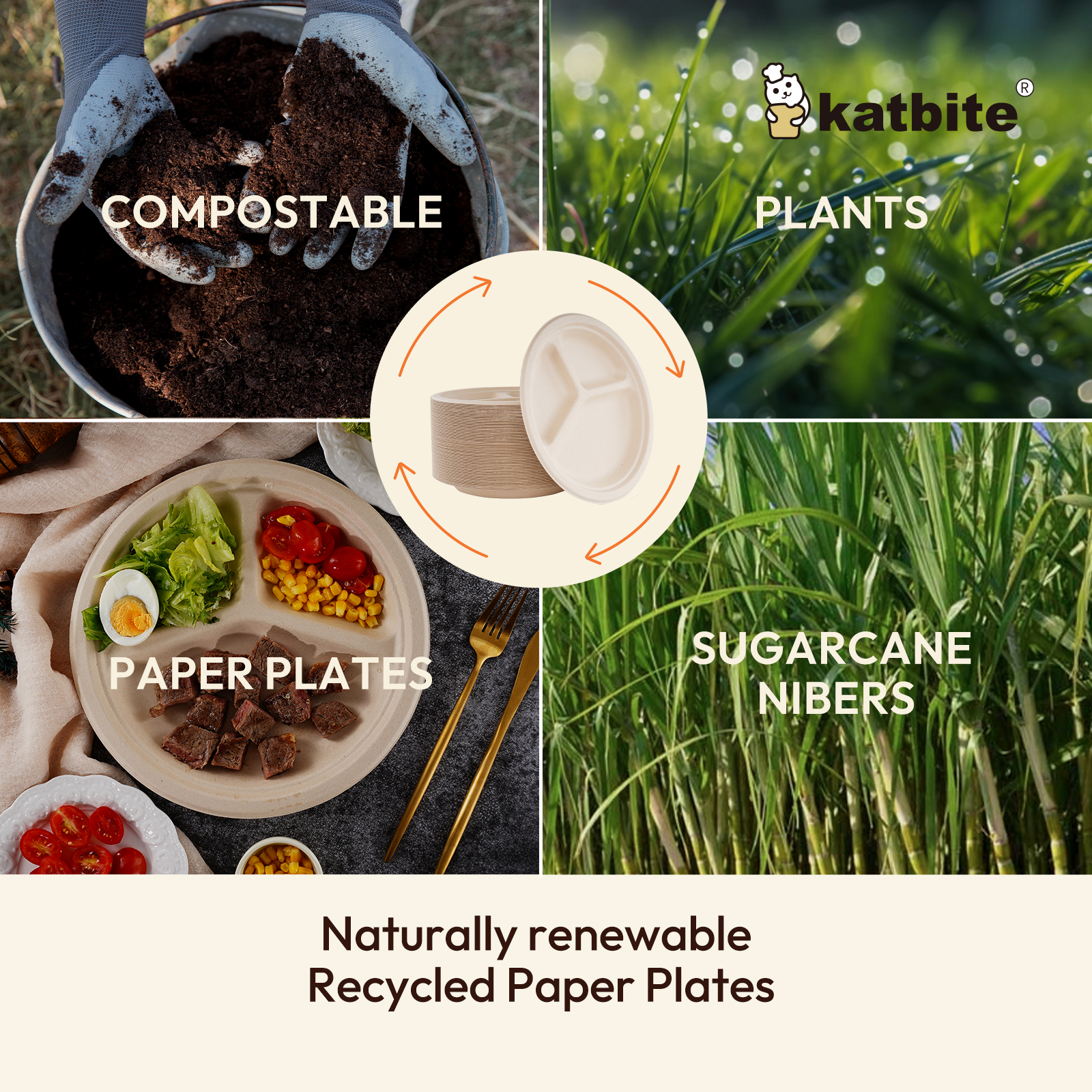Katbite 3-Compartment Paper Plates, 10 Inch, 100 Count photo 4
