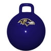 NFL Purple Baltimore Ravens Hopper