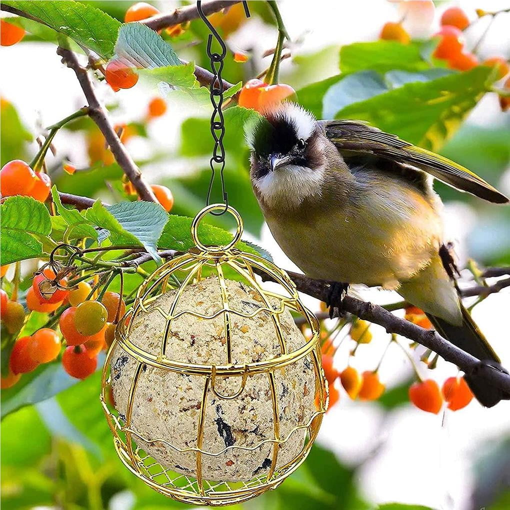 Mangeoire Mangeoire À Oiseaux Mangeoire À Oiseaux Mangeoire À Oiseaux