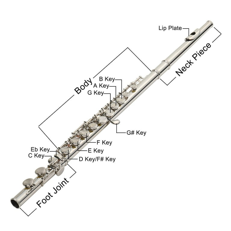 Parts Of A Flute Diagram