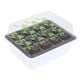 thumbnail image 1 of Bandeja De Plántulas De 12 Agujeros, Bandejas De Germinación De Semillas Gruesas Con Tapa, Bandeja De Vivero De Plántulas Para Cultivo De Germinación De Plántulas En Invernadero Speravity HA034673-00, 1 of 6