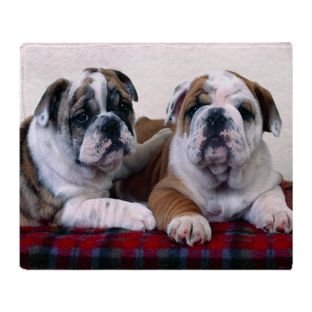 CafePress Bulldog Puppies Soft Fleece Throw Blanket, 50"x60