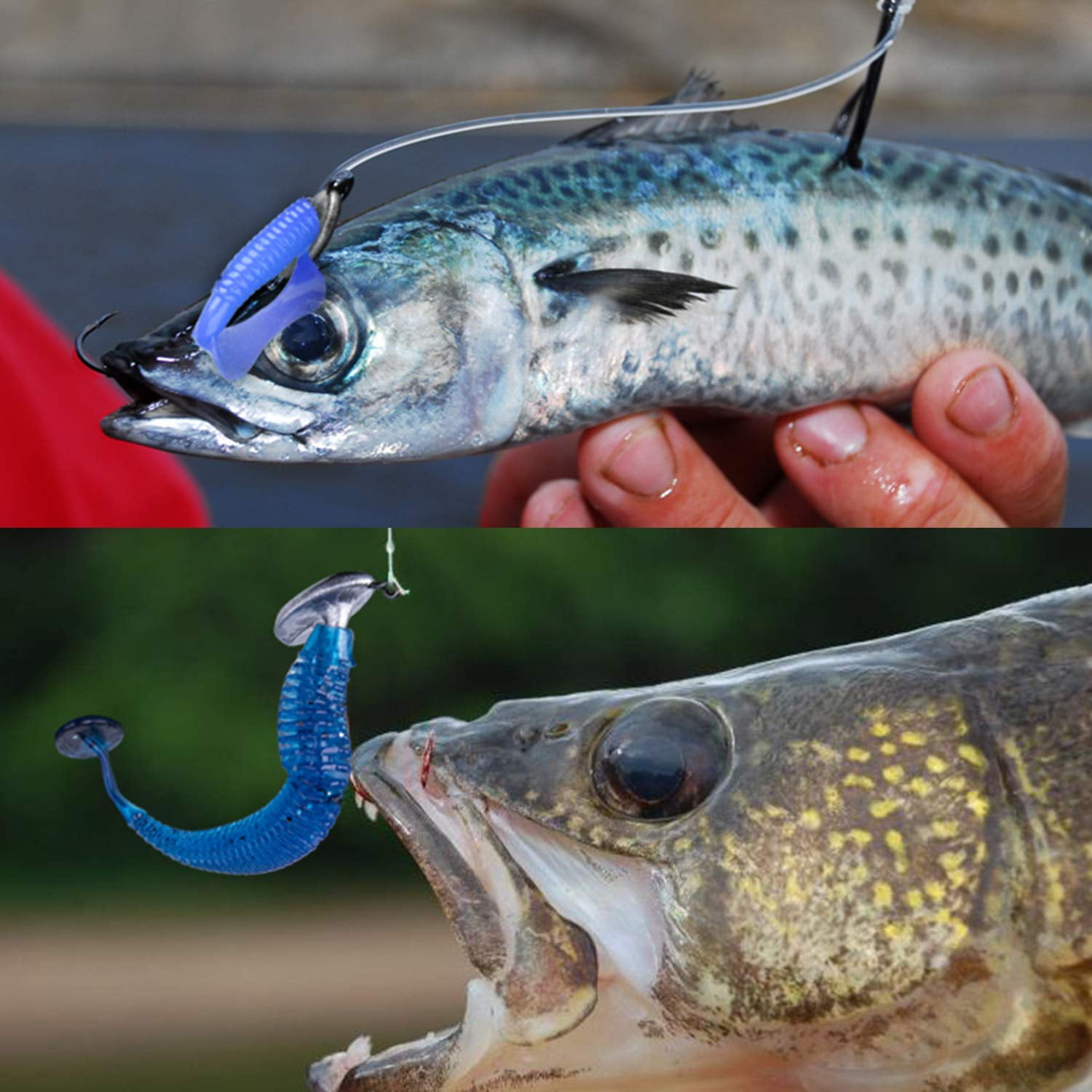  AMYSPORTS Bass Saltwater Jig Head Hooks Freshwater Sharp Jig  Hooks Lead Round Ball Fishing Jigs Lead 25pcs 1/8oz : Sports & Outdoors