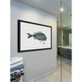 thumbnail image 5 of Marmont Hill "Sea Perch" Framed Painting Print, 5 of 5